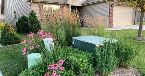 best flowers to put by electrical boxes outside|landscaping with utility boxes.